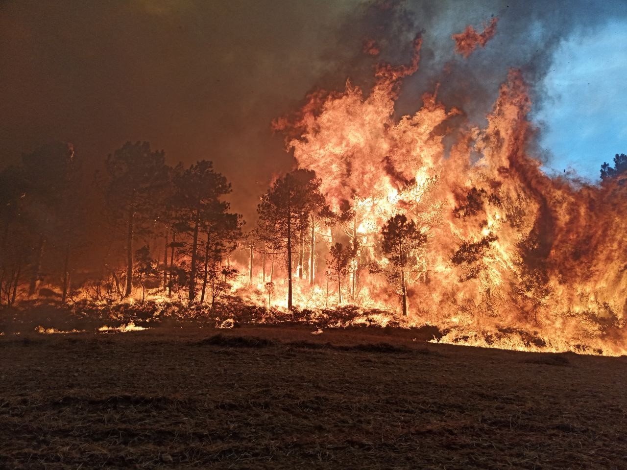 Incendi forestal