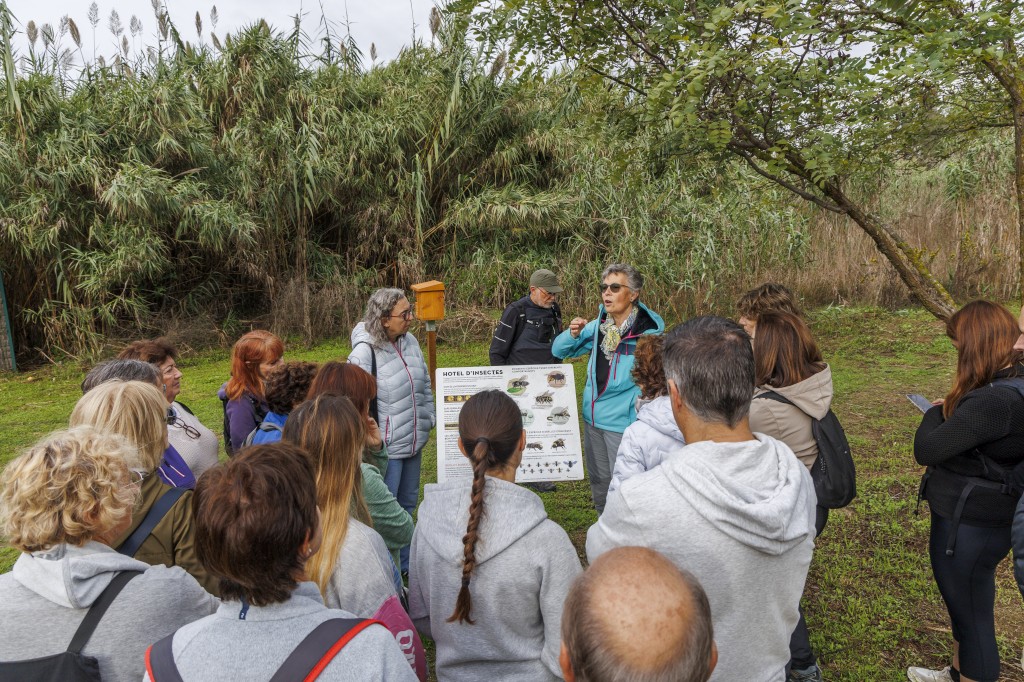 Foto: Amador García. Visita guiada a Blanes. Hotel d'insectes a la desembocadura de la Tordera.