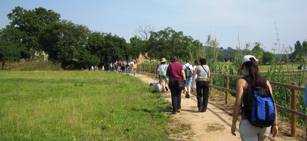 Caminada guiada