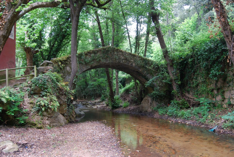 Riera d'Arbúcies molà de les pipes