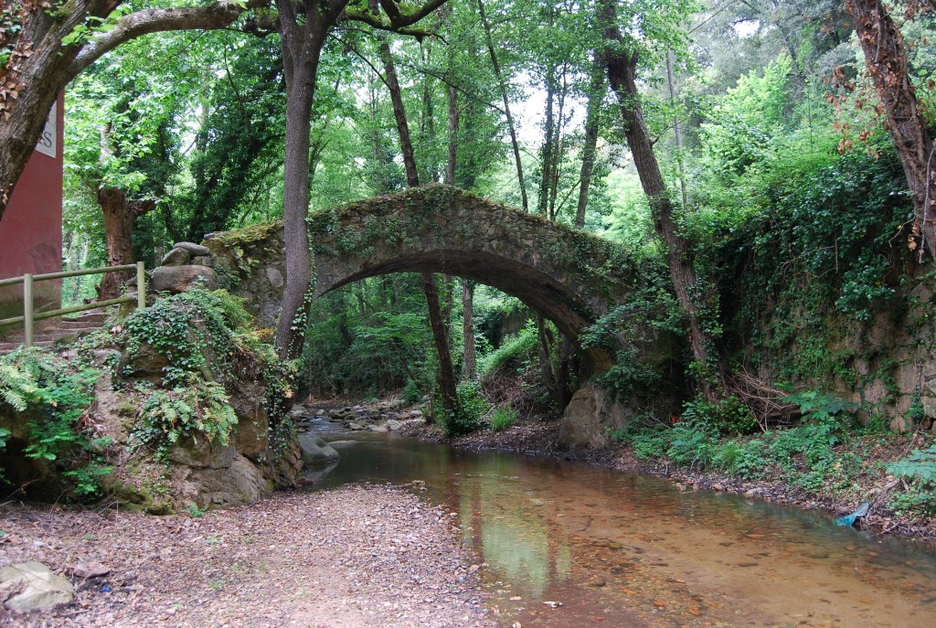 Riera d'ArbÃºcies molÃ­ de les pipes