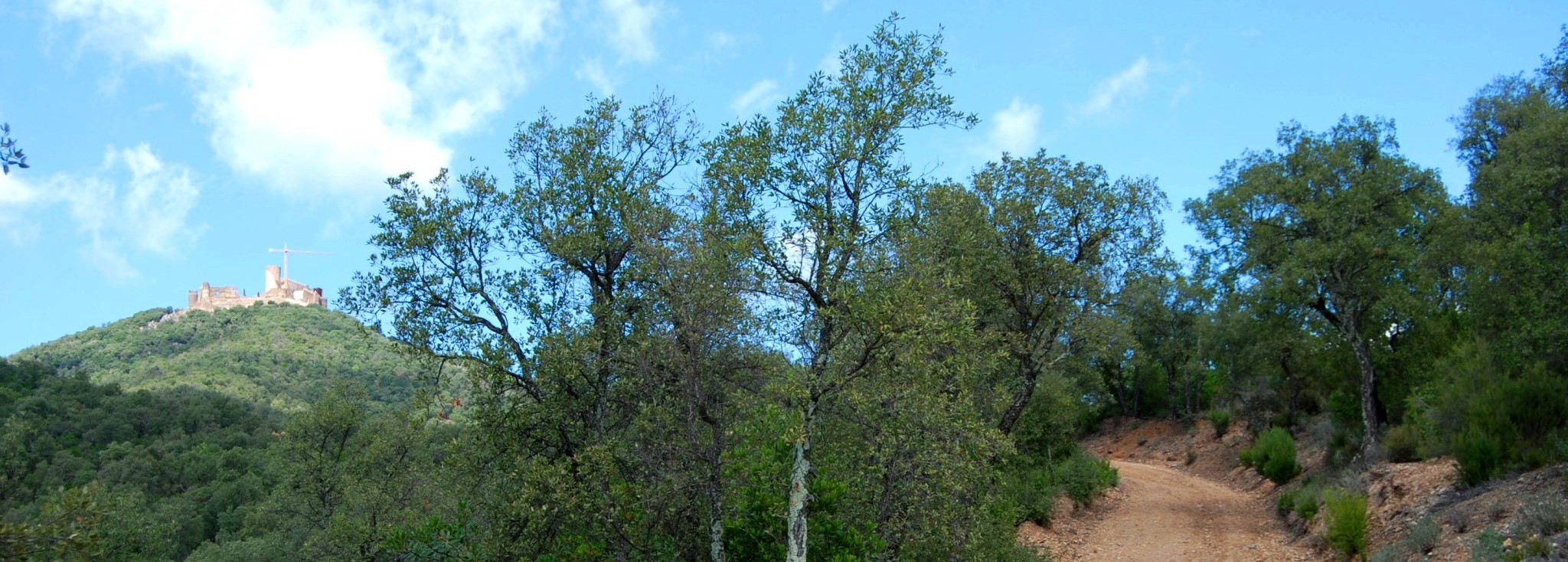 Foto: Tourdera. Camí de Gaserans a Montsoriu.