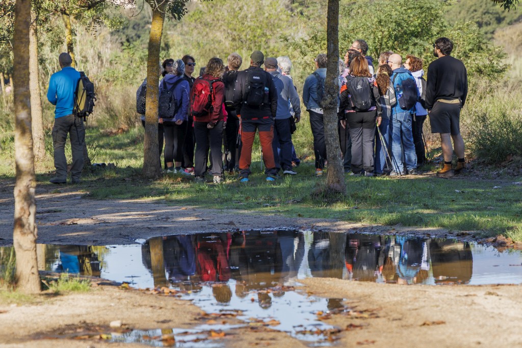 Foto: Tourdera. Visita guiada Tordera (octubre 2026)