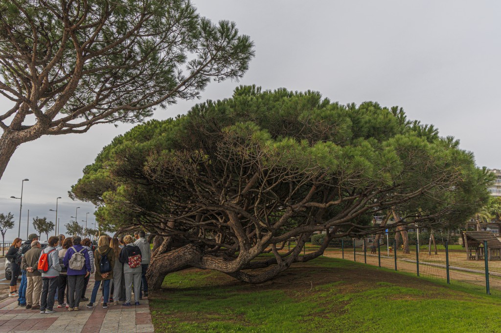 Foto: Amador García. Visita guiada a Blanes.