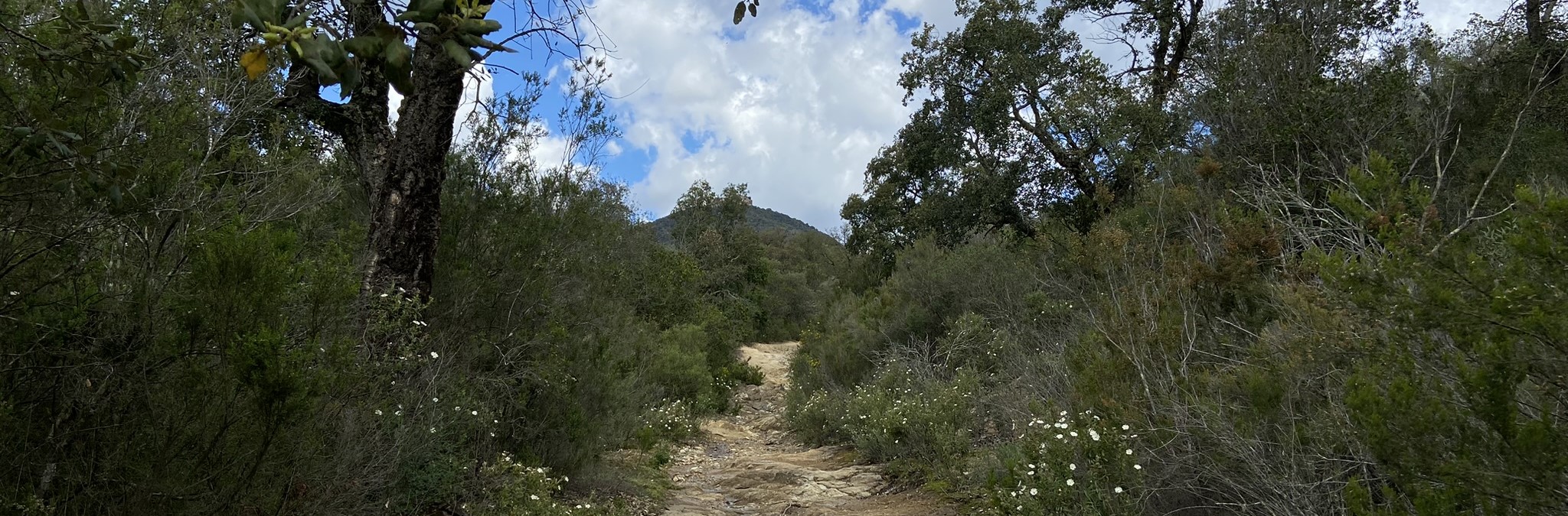 Foto: Tourdera. Camí de Breda a Montsoriu.