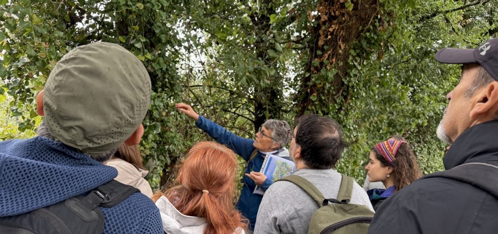 Foto: Tourdera. Guiatge durant una visita a Fogars de la Selva.