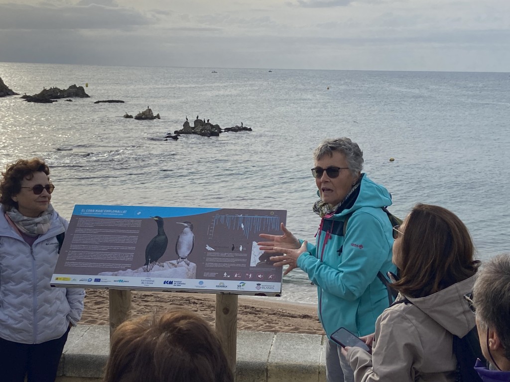 Foto: Tourdera. Colònia de corbs marins de Sa Palomera.