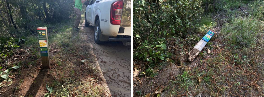 Foto: Tourdera. Reposición de hito caído en Arbúcies.
