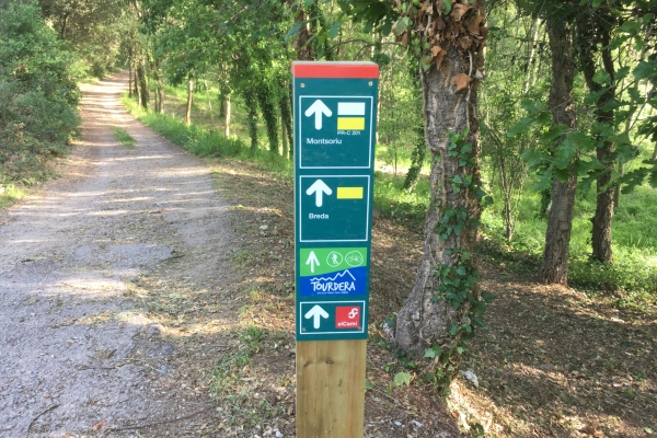 11b