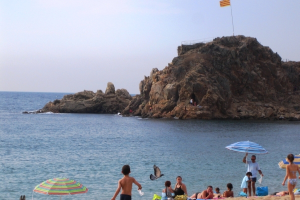 Tram Palafolls - Blanes