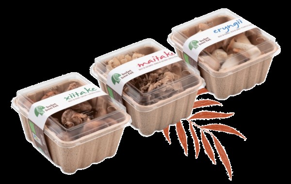 Photo : Bolet Ben Fet, emballages compostables