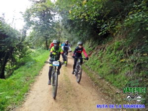 Tram Massanes - Fogars de la Selva